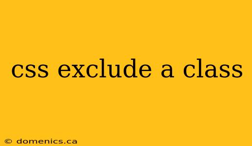 css exclude a class