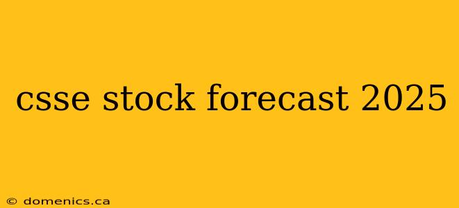 csse stock forecast 2025