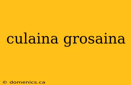 culaina grosaina