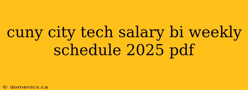 cuny city tech salary bi weekly schedule 2025 pdf