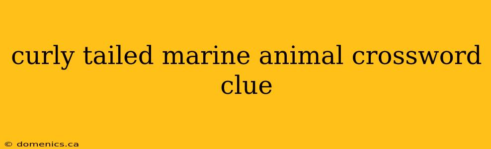 curly tailed marine animal crossword clue