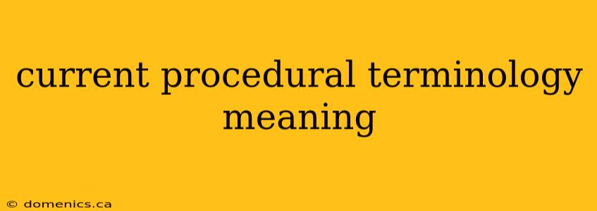 current procedural terminology meaning