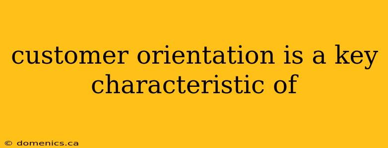 customer orientation is a key characteristic of