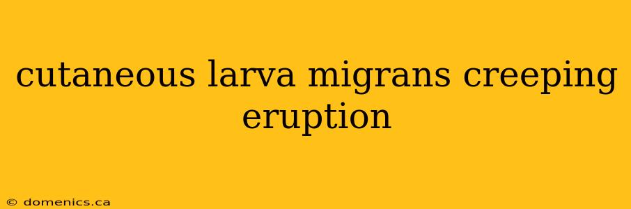 cutaneous larva migrans creeping eruption