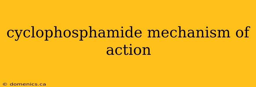 cyclophosphamide mechanism of action