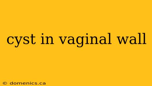 cyst in vaginal wall