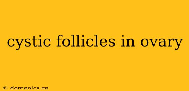 cystic follicles in ovary