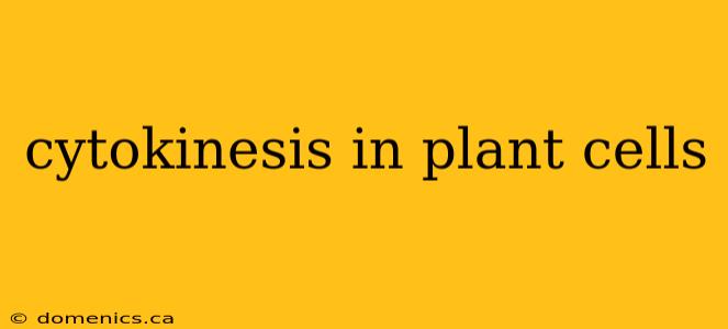 cytokinesis in plant cells