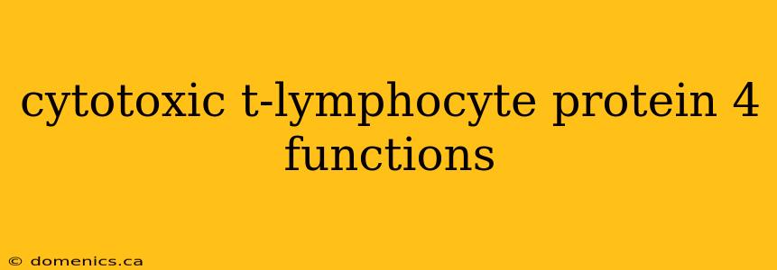 cytotoxic t-lymphocyte protein 4 functions