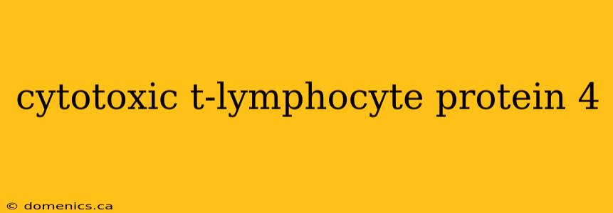 cytotoxic t-lymphocyte protein 4