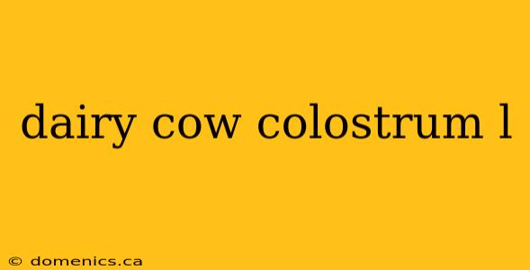 dairy cow colostrum l