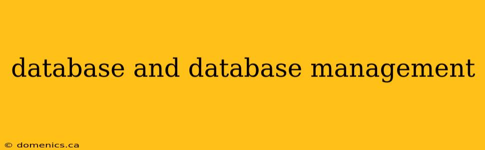 database and database management