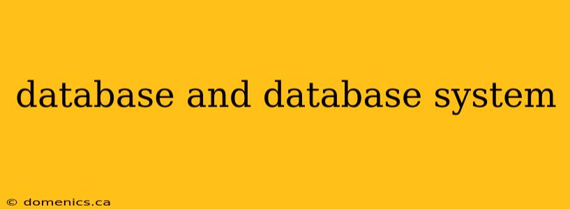 database and database system