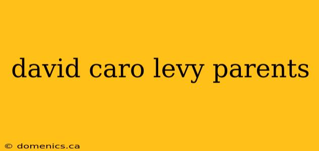 david caro levy parents