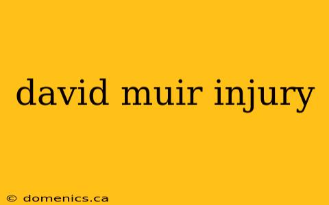 david muir injury