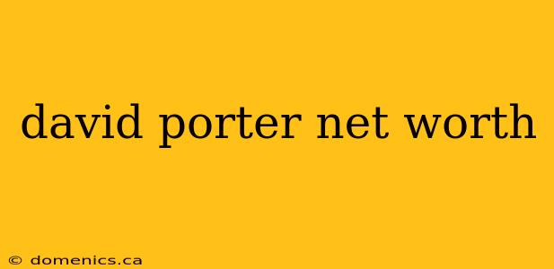 david porter net worth