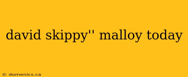 david skippy'' malloy today