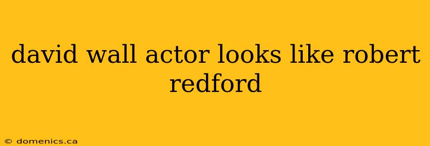 david wall actor looks like robert redford