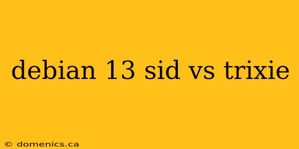 debian 13 sid vs trixie