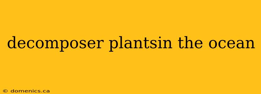 decomposer plantsin the ocean