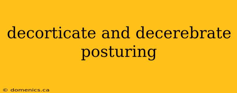 decorticate and decerebrate posturing