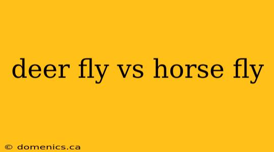 deer fly vs horse fly