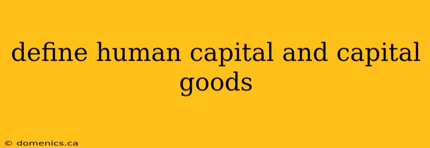 define human capital and capital goods