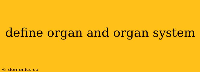 define organ and organ system