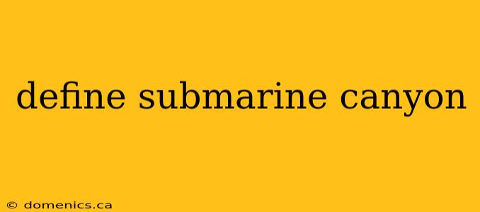 define submarine canyon