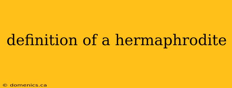 definition of a hermaphrodite