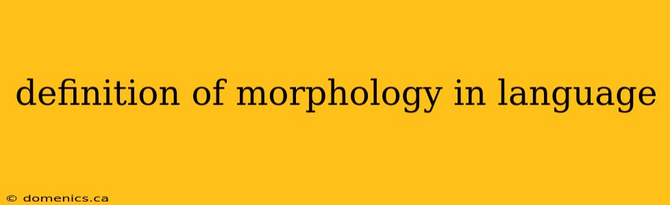 definition of morphology in language