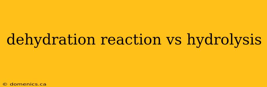 dehydration reaction vs hydrolysis