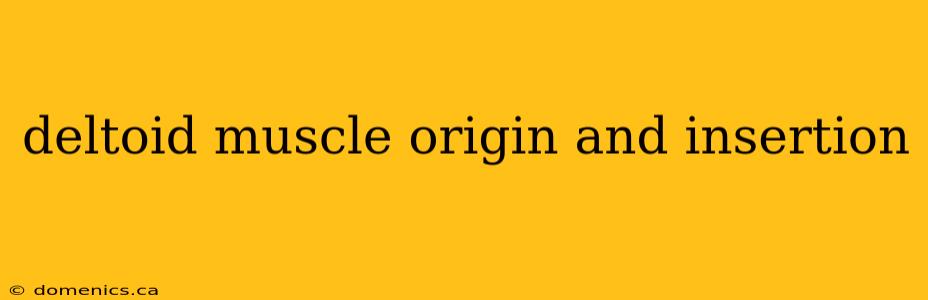 deltoid muscle origin and insertion