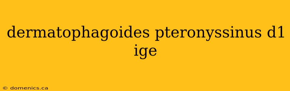 dermatophagoides pteronyssinus d1 ige