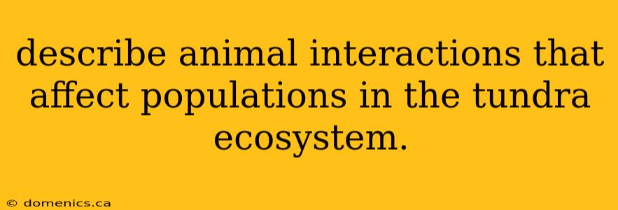 describe animal interactions that affect populations in the tundra ecosystem.