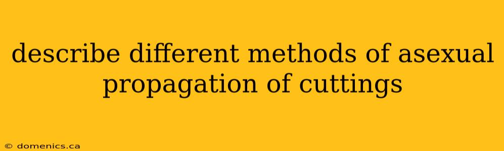 describe different methods of asexual propagation of cuttings