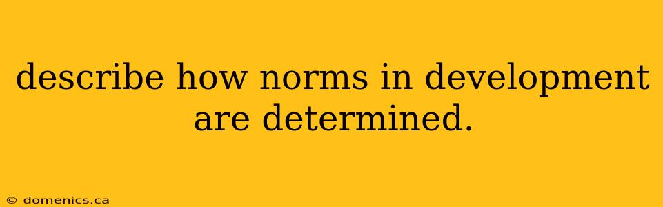 describe how norms in development are determined.