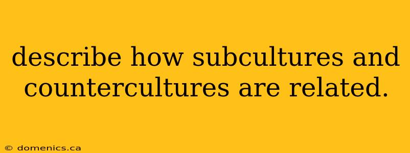 describe how subcultures and countercultures are related.