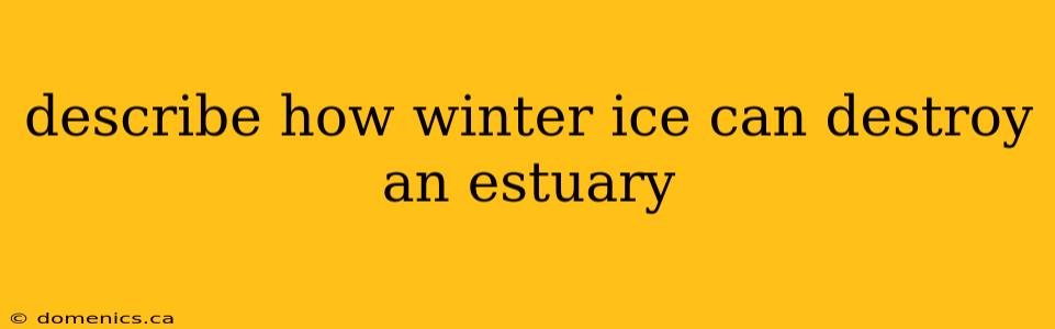 describe how winter ice can destroy an estuary