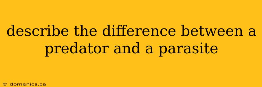 describe the difference between a predator and a parasite