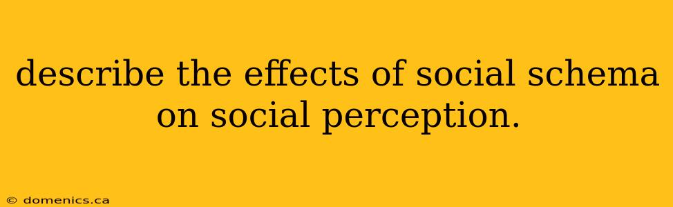 describe the effects of social schema on social perception.