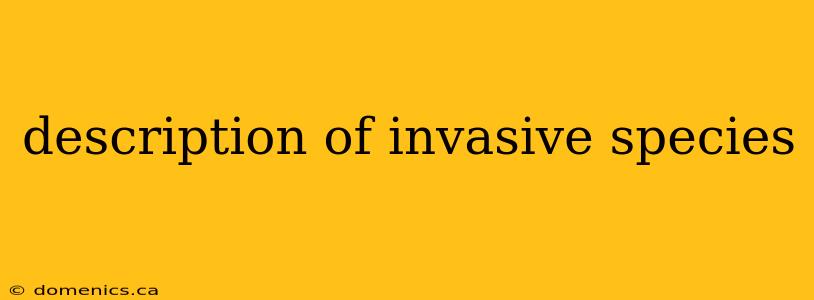 description of invasive species