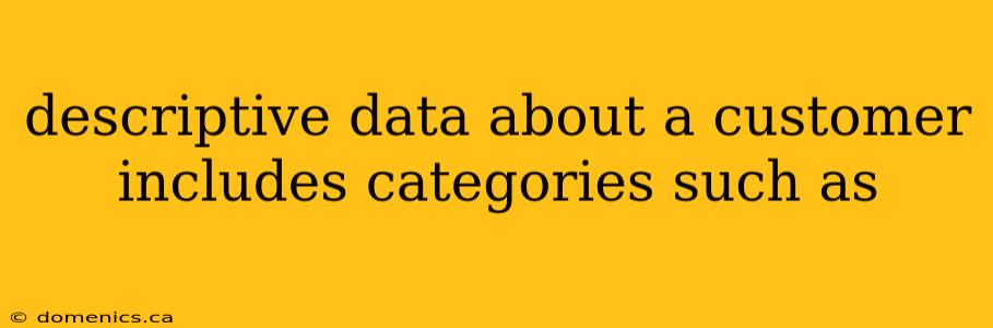 descriptive data about a customer includes categories such as