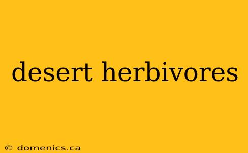 desert herbivores