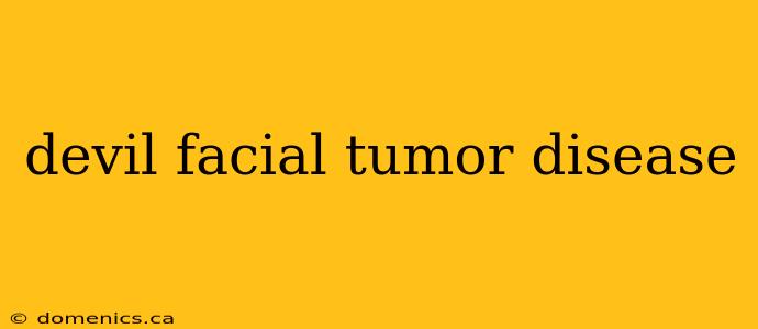 devil facial tumor disease