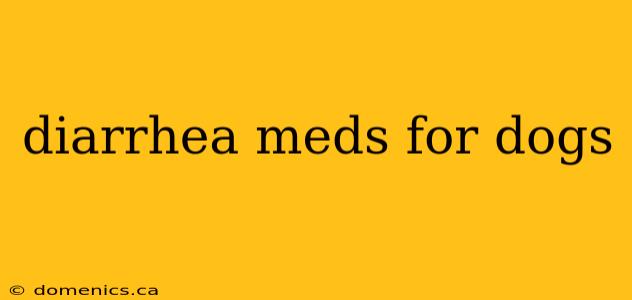 diarrhea meds for dogs