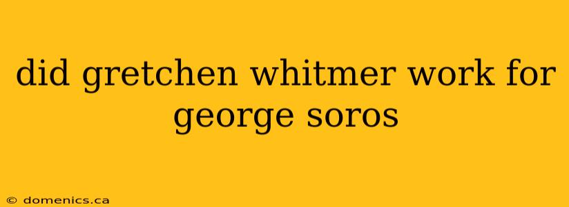 did gretchen whitmer work for george soros