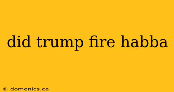 did trump fire habba