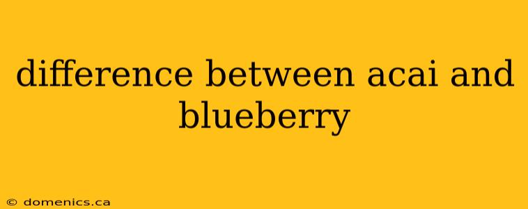 difference between acai and blueberry