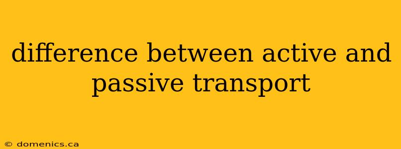 difference between active and passive transport